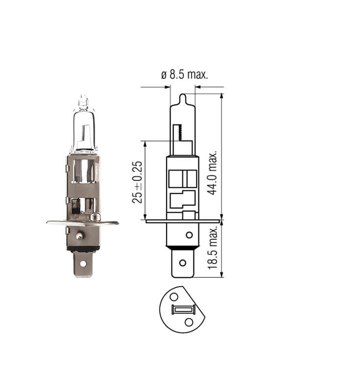 MotoPro Halogenlampe 12V 55W H1 P14,5S